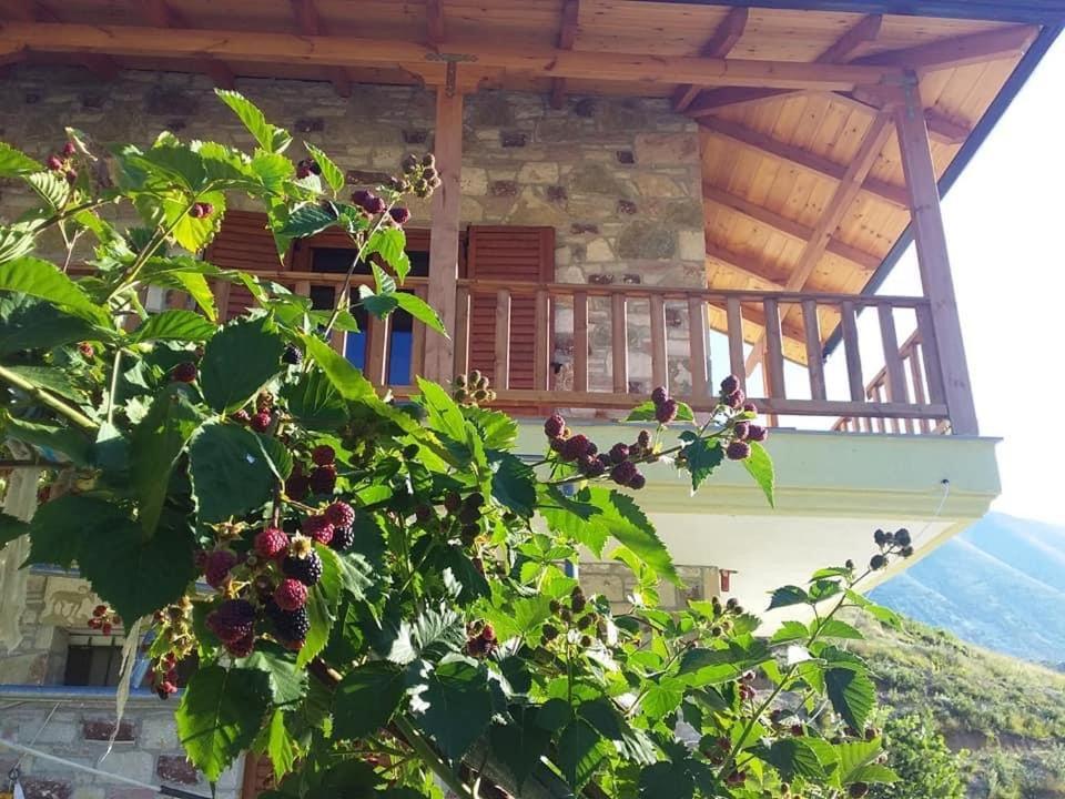 Auberge de jeunesse Bujtina Hader Xhebro à Tepelene Extérieur photo