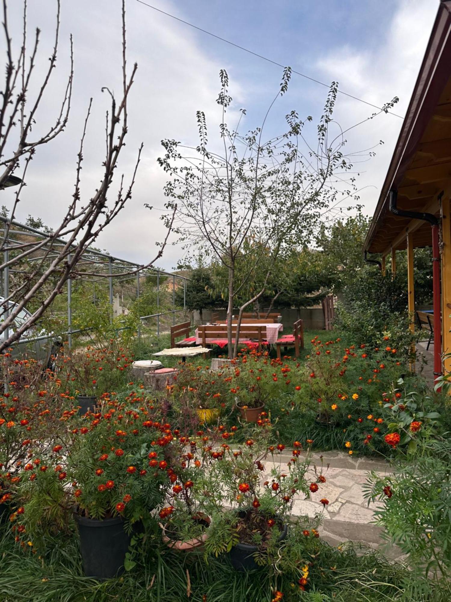 Auberge de jeunesse Bujtina Hader Xhebro à Tepelene Extérieur photo